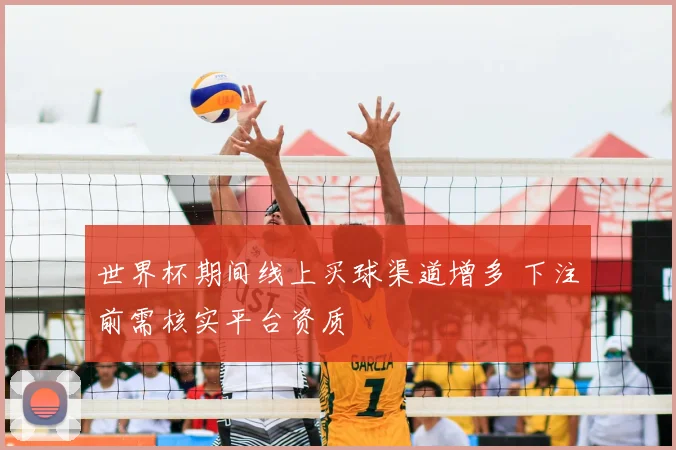 世界杯期间线上买球渠道增多 下注前需核实平台资质