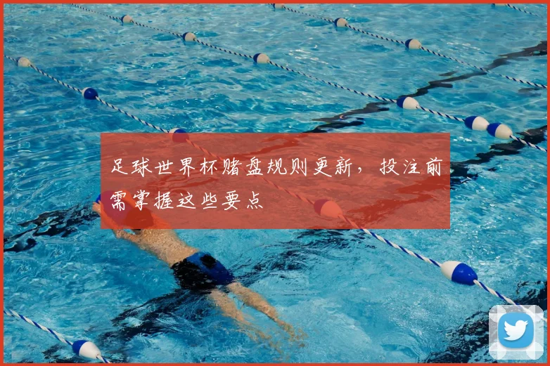 足球世界杯赌盘规则更新,投注前需掌握这些要点