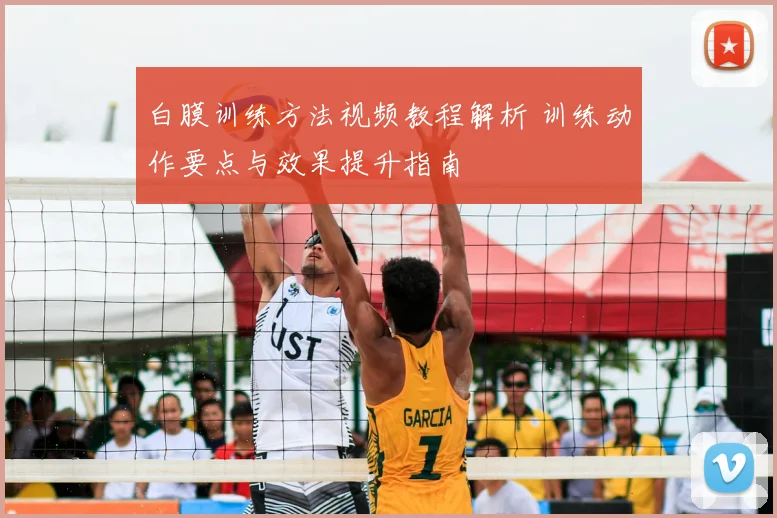 白膜训练方法视频教程解析 训练动作要点与效果提升指南